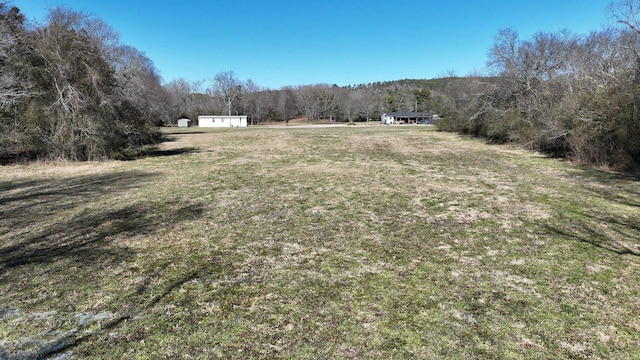 view of yard with a wooded view