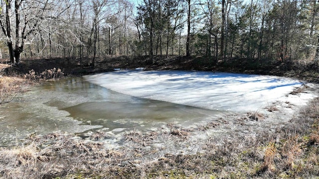 view of pool with a water view and a wooded view