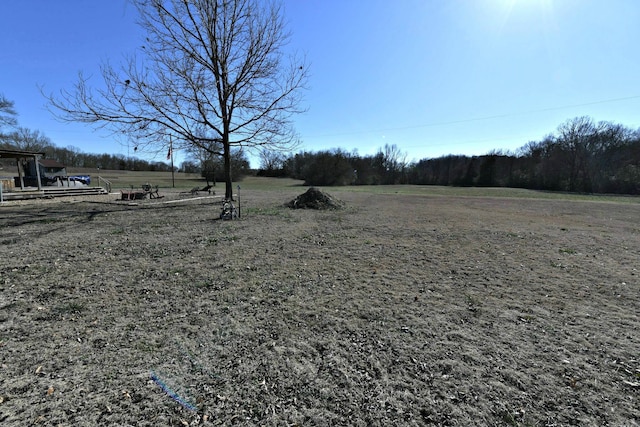 view of yard with a rural view