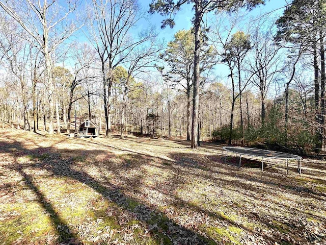 view of yard with a trampoline and a view of trees