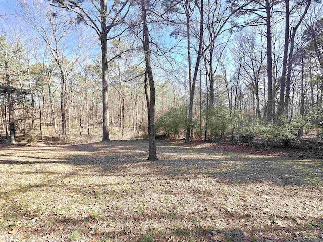 view of yard with a forest view