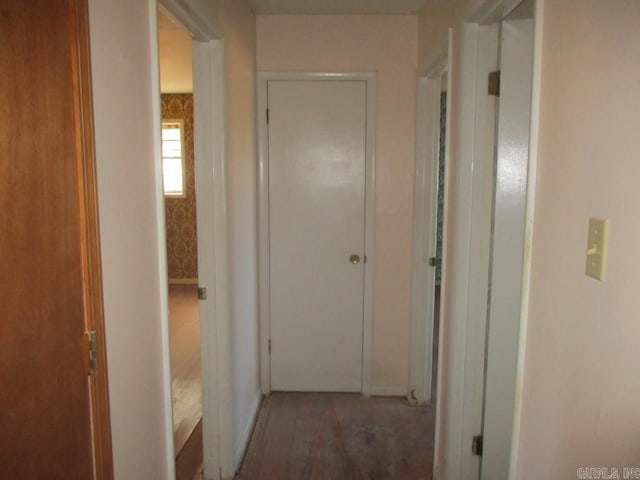 hallway featuring wood finished floors