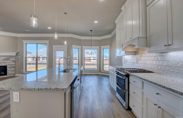 kitchen with backsplash, ornamental molding, a sink, wood finished floors, and double oven range