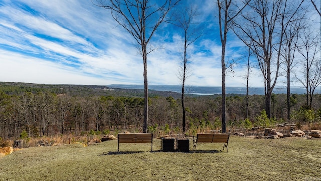 view of yard with a wooded view