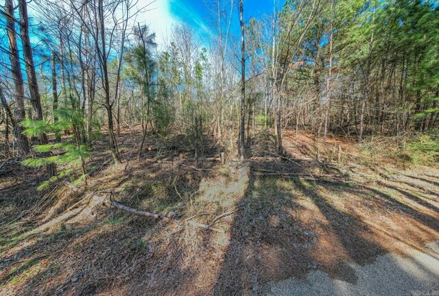 000 Kidder Ln, Hot Springs, AR 71913