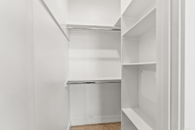 spacious closet with carpet