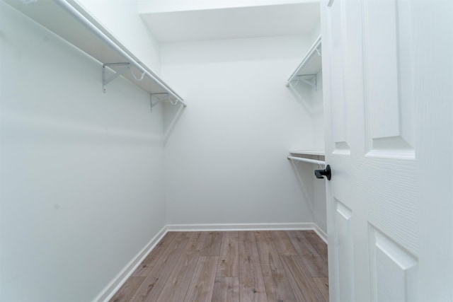 walk in closet with light wood finished floors