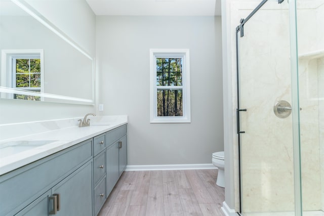 bathroom featuring toilet, a shower stall, a sink, and wood finished floors
