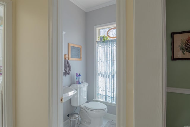 bathroom featuring toilet and crown molding