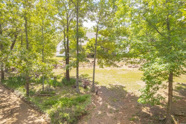 245 Memory Ln, Cabot, AR 72023 - view of yard