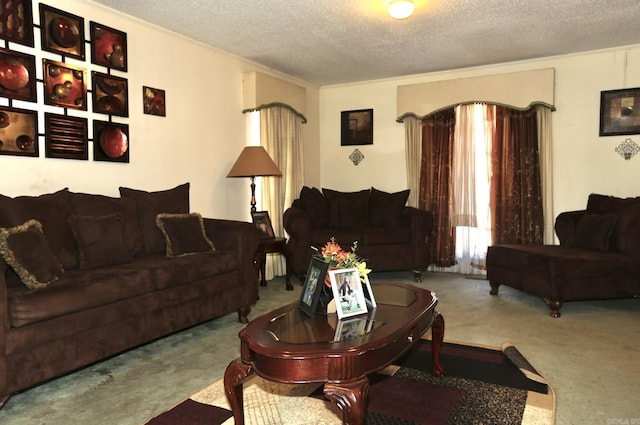 carpeted living area featuring a textured ceiling