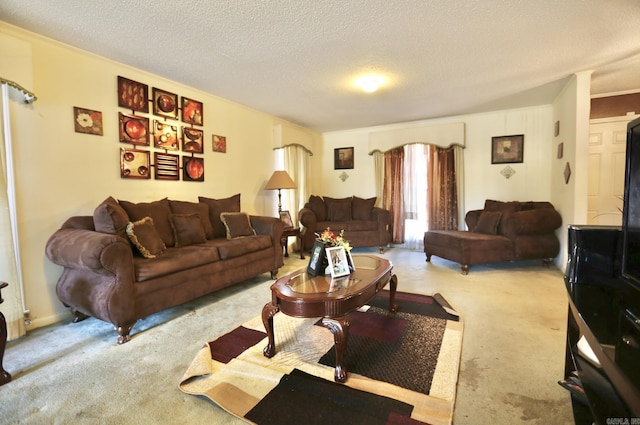 carpeted living area featuring a textured ceiling