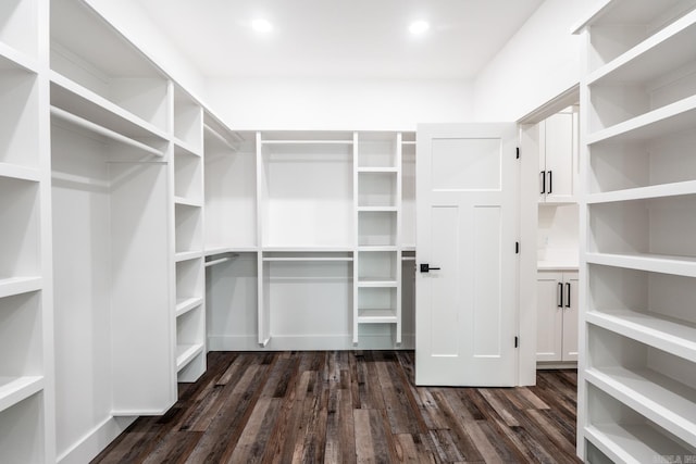 walk in closet with dark wood-style flooring