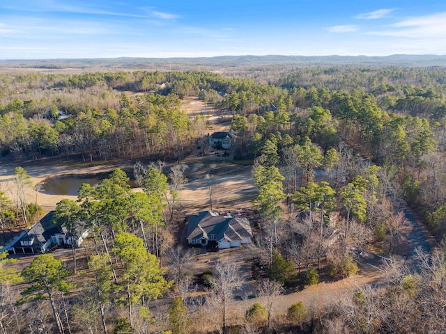 aerial view with a forest view