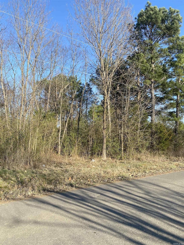 Address Not Disclosed, Conway AR, 72032 land for sale