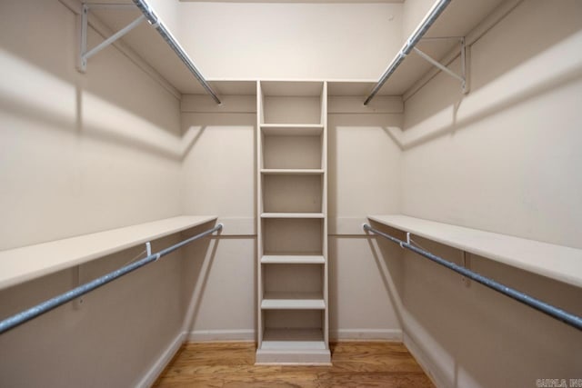 spacious closet featuring wood finished floors