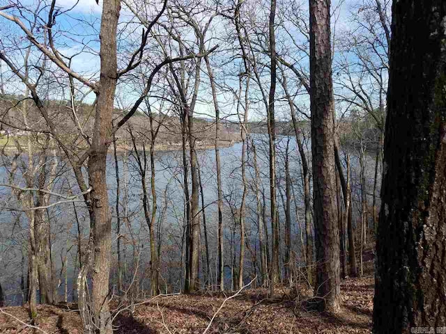 LOT34 Waterfront Ct, Hot Springs AR, 71913 land for sale