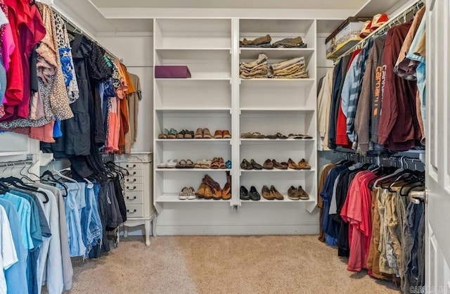 spacious closet featuring carpet