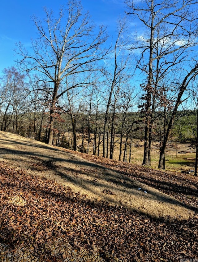 view of landscape