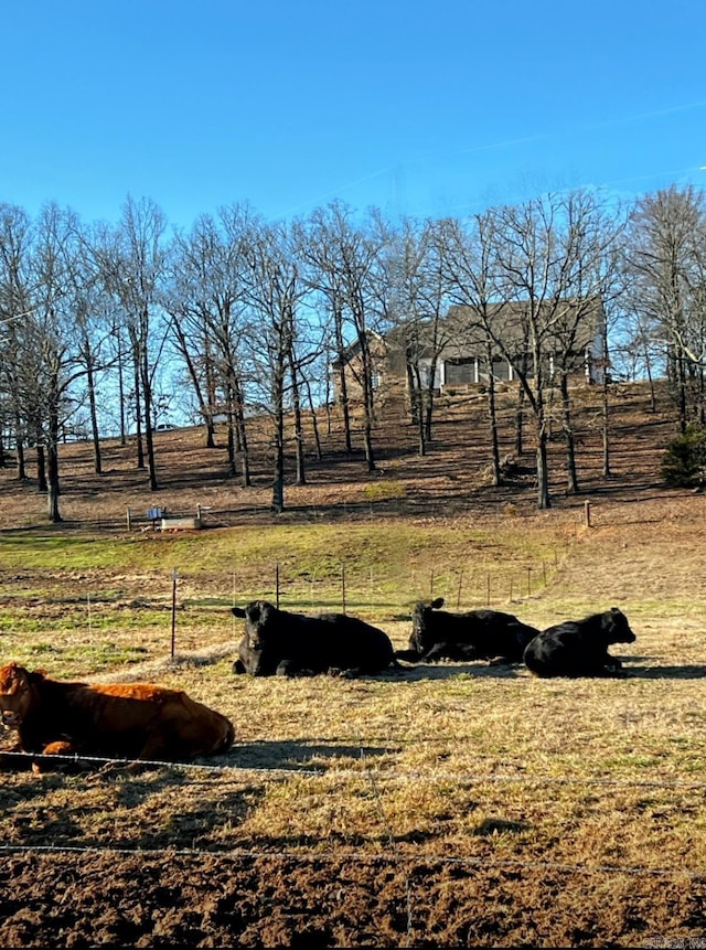 view of yard with a rural view