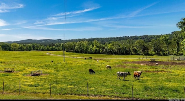 view of community with a forest view and a rural view