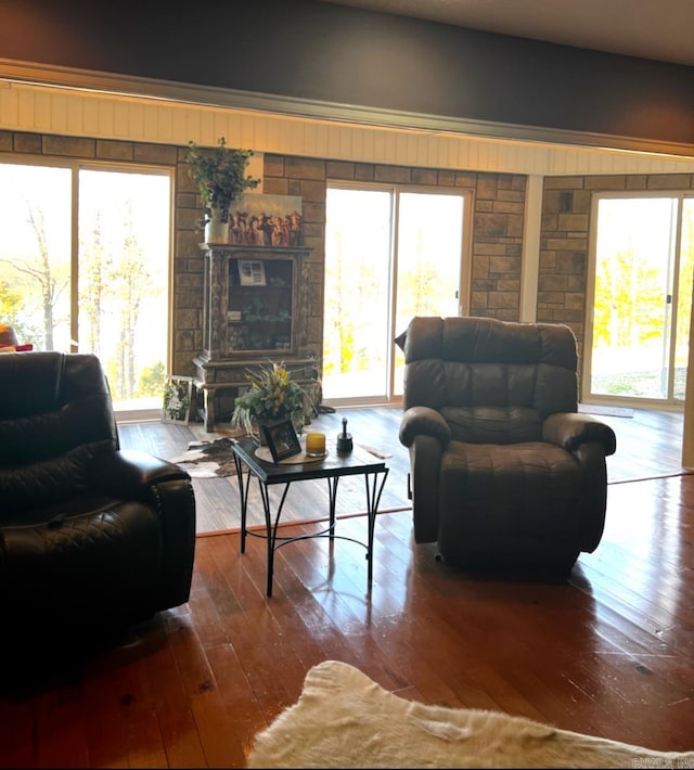 living room featuring hardwood / wood-style flooring