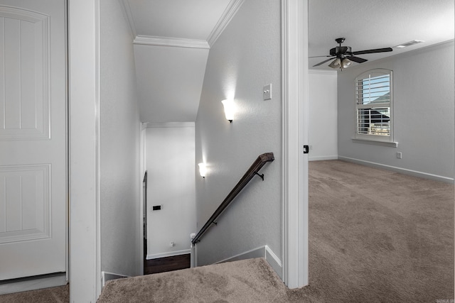 stairway with baseboards, visible vents, crown molding, and carpet flooring