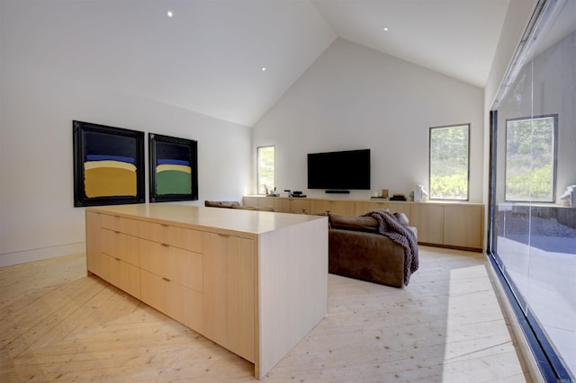 living area featuring high vaulted ceiling