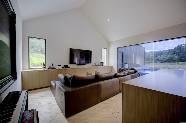 living area featuring light wood finished floors and high vaulted ceiling