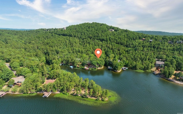 bird's eye view with a water view and a view of trees