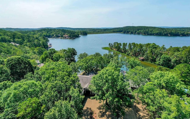 drone / aerial view with a water view and a view of trees