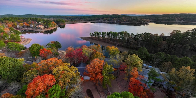 birds eye view of property featuring a water view and a wooded view