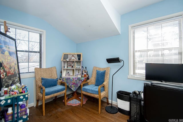 interior space with lofted ceiling, baseboards, and wood finished floors