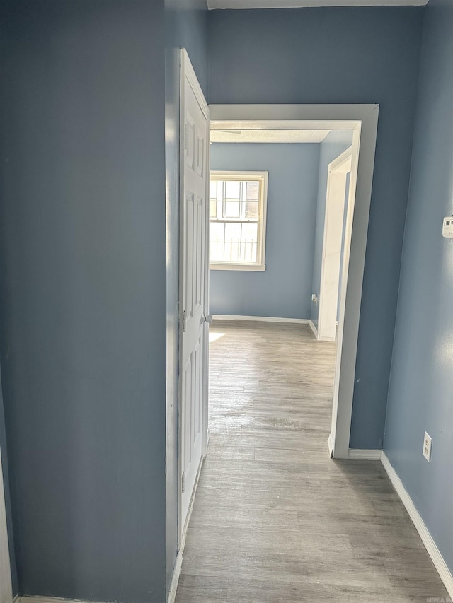 hall featuring baseboards and wood finished floors