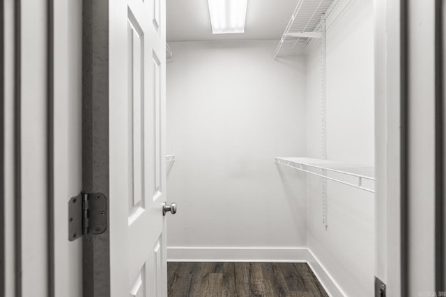 spacious closet featuring dark wood finished floors