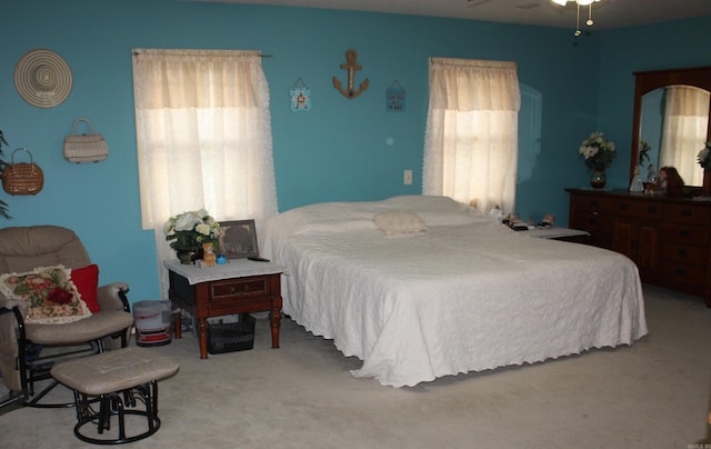708 Kid Phillips Rd, Marshall, AR 72650 - view of carpeted bedroom