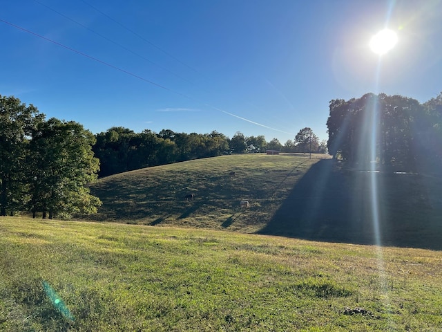 708 Kid Phillips Rd, Marshall, AR 72650 - view of yard