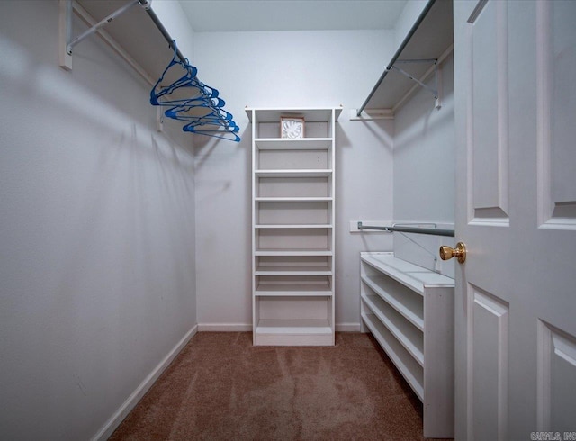 walk in closet with carpet flooring