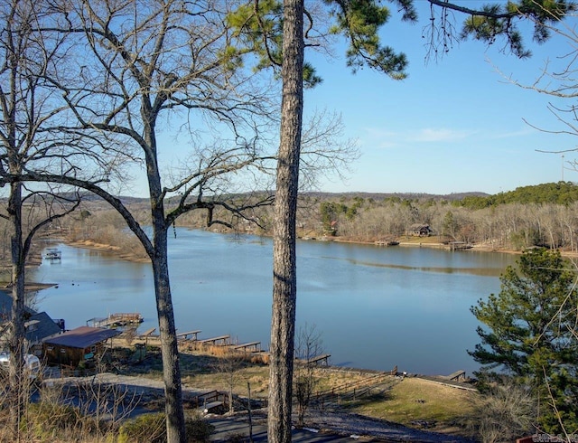 view of water feature