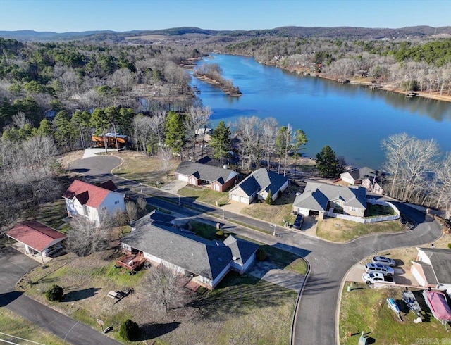 birds eye view of property with a water view and a forest view