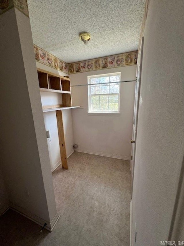 walk in closet featuring carpet flooring