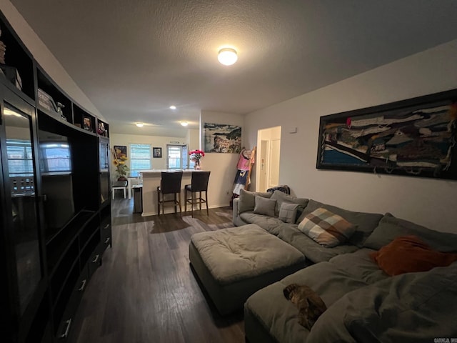 living room featuring dark wood-style floors and a textured ceiling