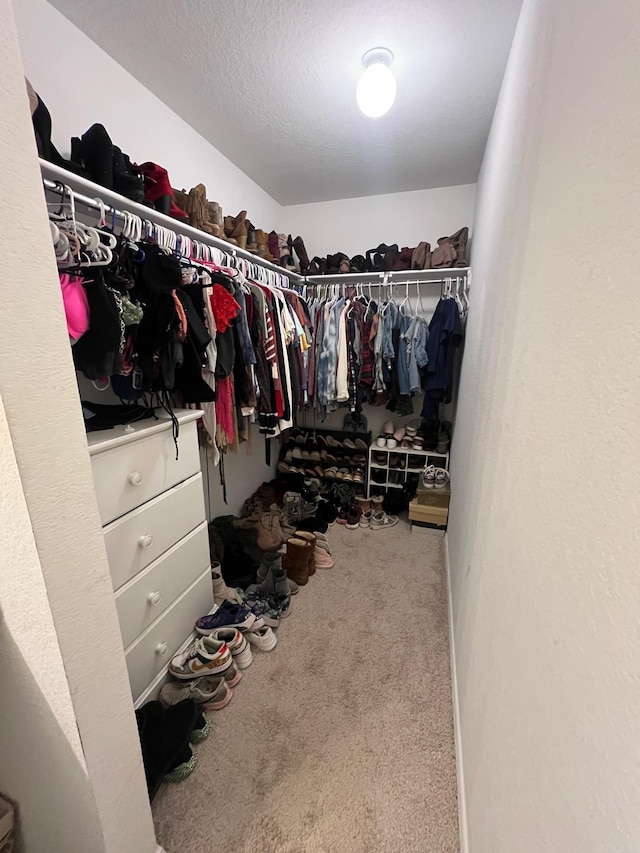 walk in closet with carpet floors