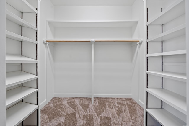 spacious closet featuring carpet flooring