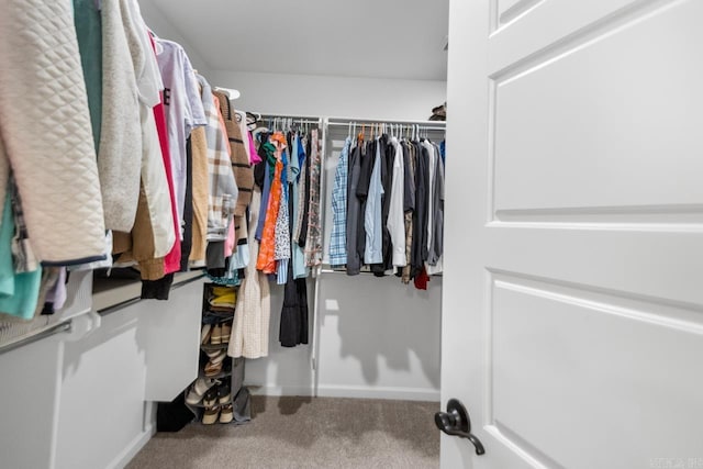 walk in closet featuring carpet floors