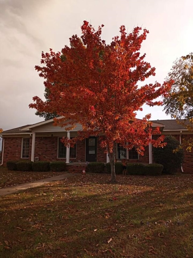 view of front of property with a front yard and brick siding