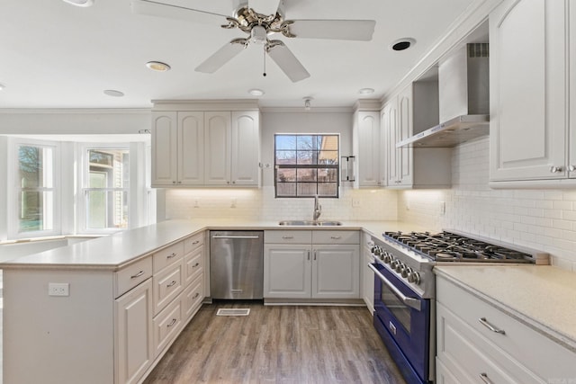 kitchen with wall chimney exhaust hood, a peninsula, a sink, stainless steel appliances, and a wealth of natural light