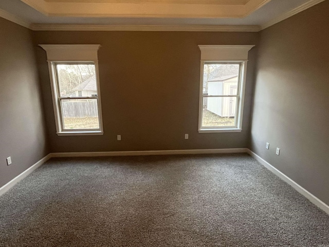 unfurnished room featuring carpet, ornamental molding, plenty of natural light, and a raised ceiling