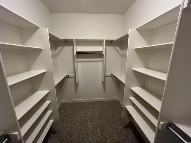 walk in closet featuring dark colored carpet