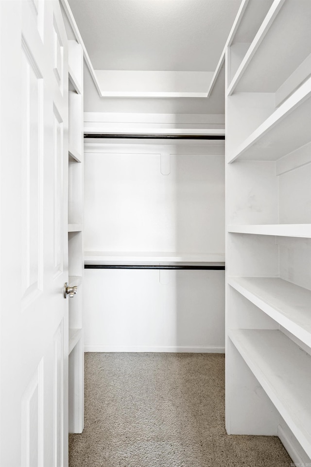 walk in closet featuring carpet flooring